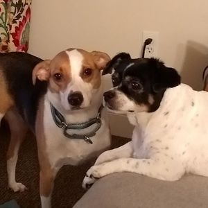 Meet your Posher, Casey