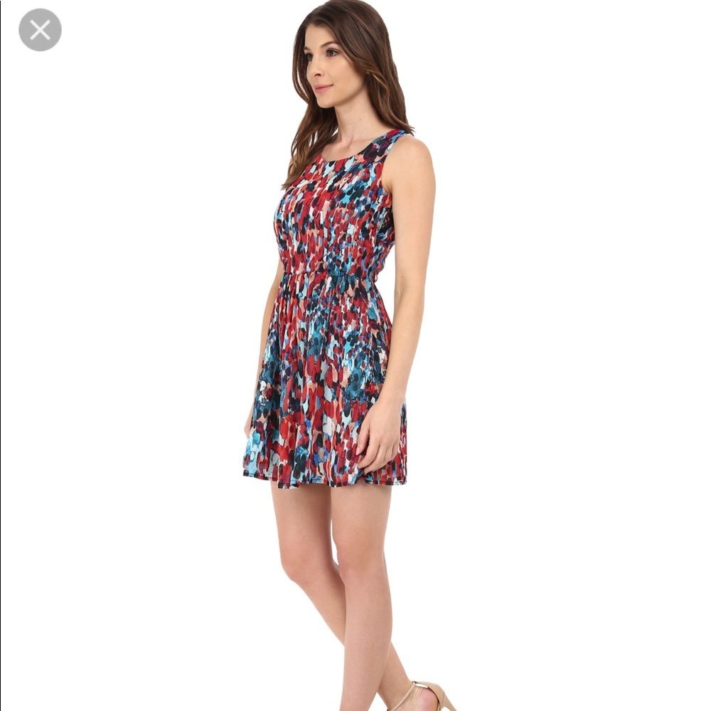 BB Dakota dress