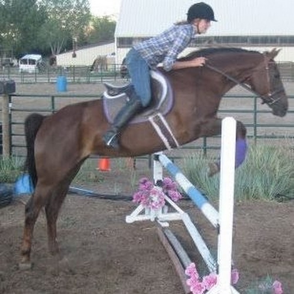 Meet your Posher, Addy