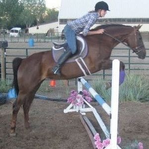 Meet your Posher, Addy