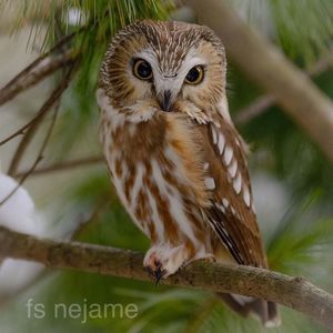 Meet your Posher, Kathleen balboa