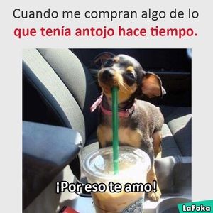 Meet your Posher, Erika