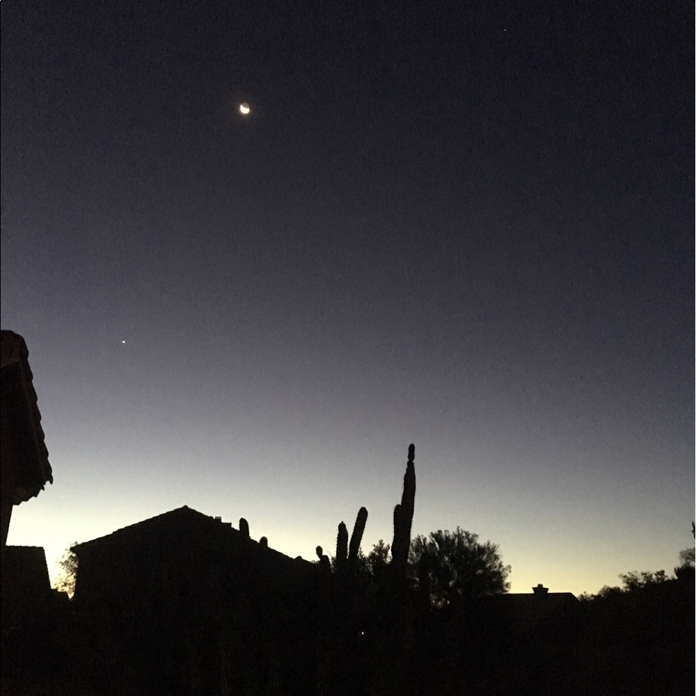 Meet your Posher, Sophia