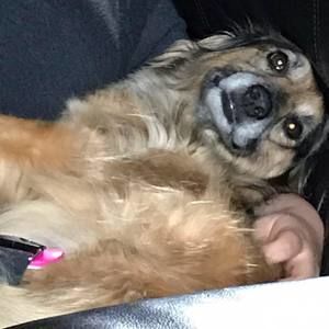 Meet your Posher, Shari