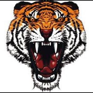 Meet your Posher, Addison