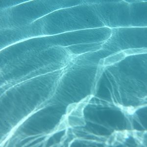 Meet your Posher, Colin