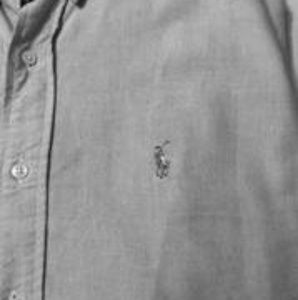 Ralph Lauren button up shirt s/s sizeS