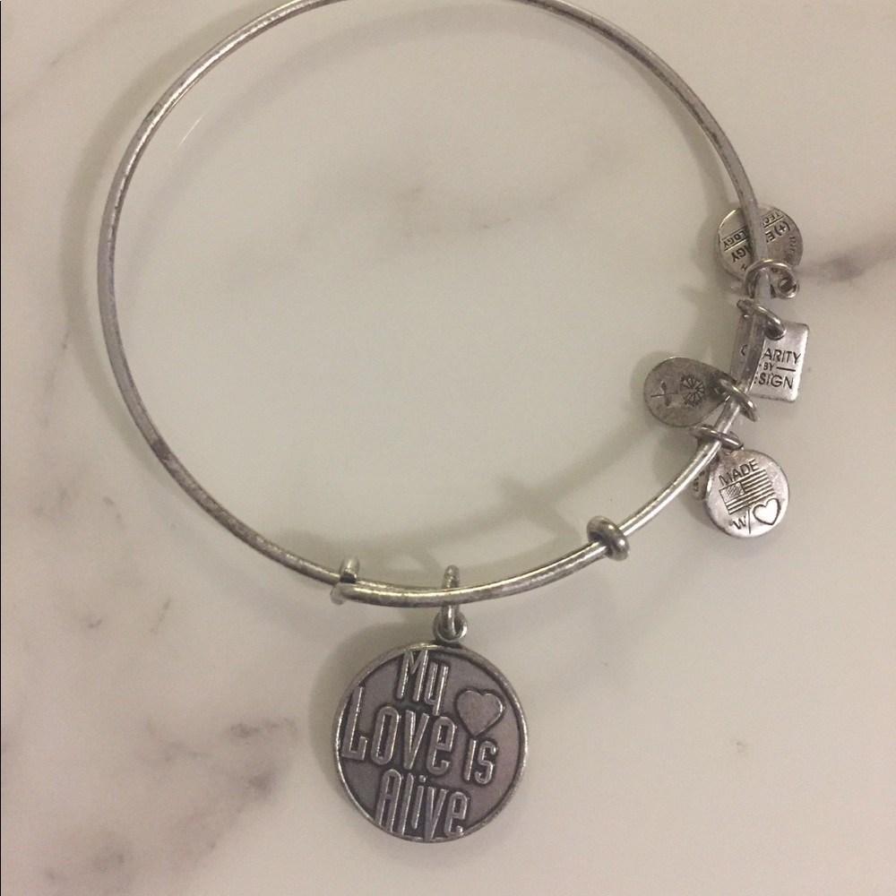 Alex & Ani charm bracelet
