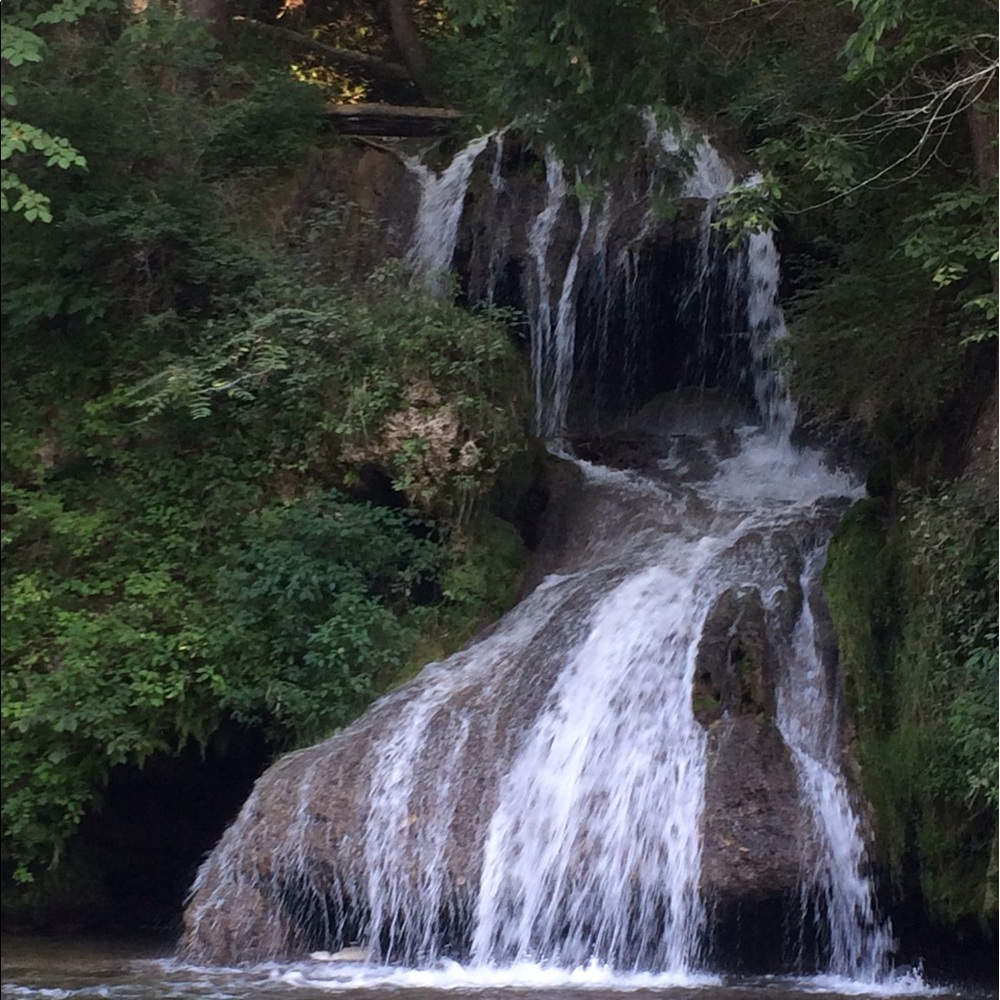 Meet your Posher, Kodie