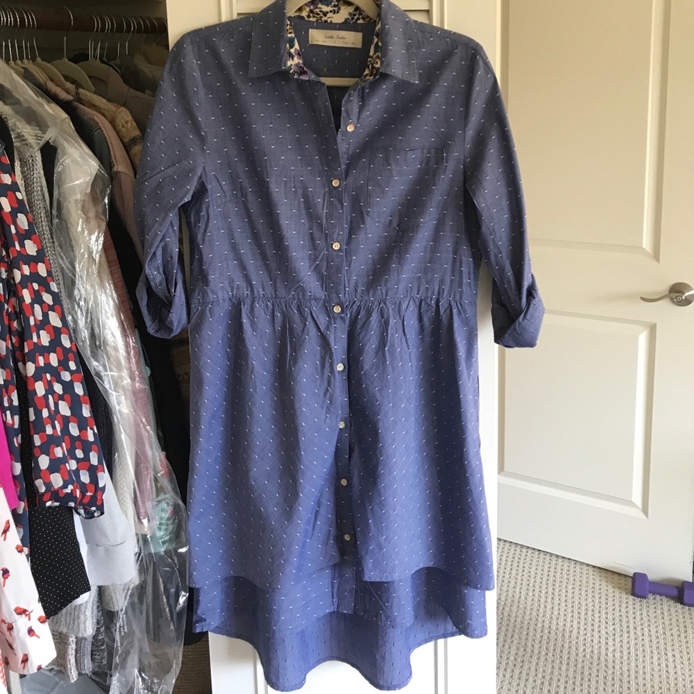 Anthropologie Dress