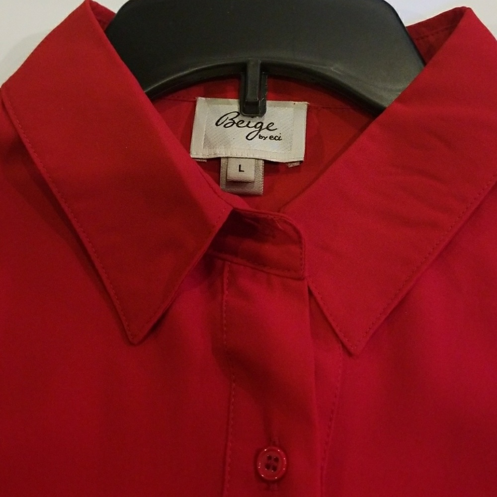 Long sleeve sheer dress top