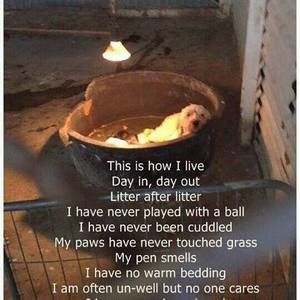 Meet your Posher, Miguel