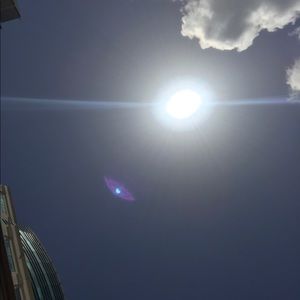 Meet your Posher, Darcey