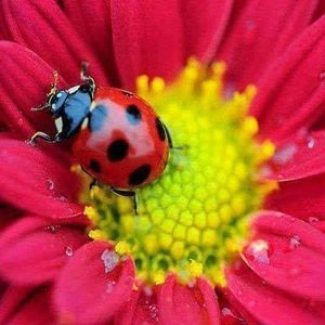 Meet your Posher, W lynn