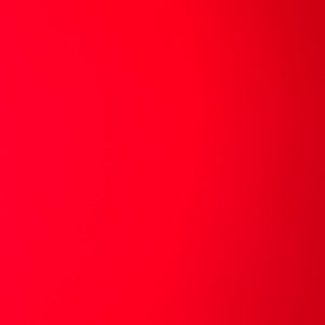 Meet your Posher, Dino