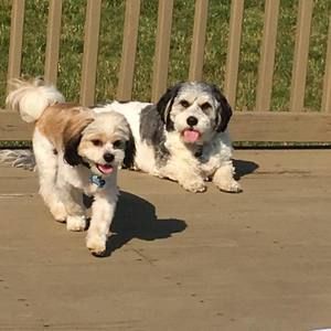 Meet your Posher, Dorothy jean