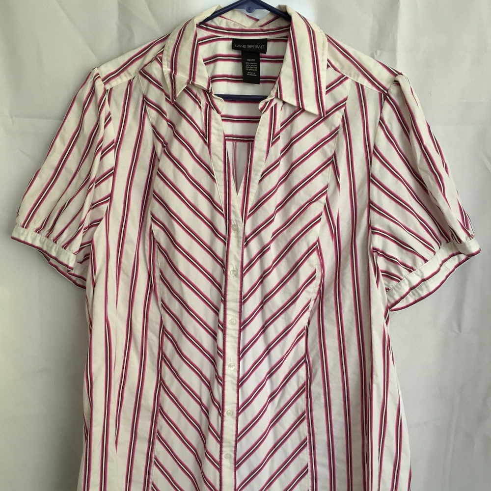 Lane Bryant Fun and business-y striped shirt