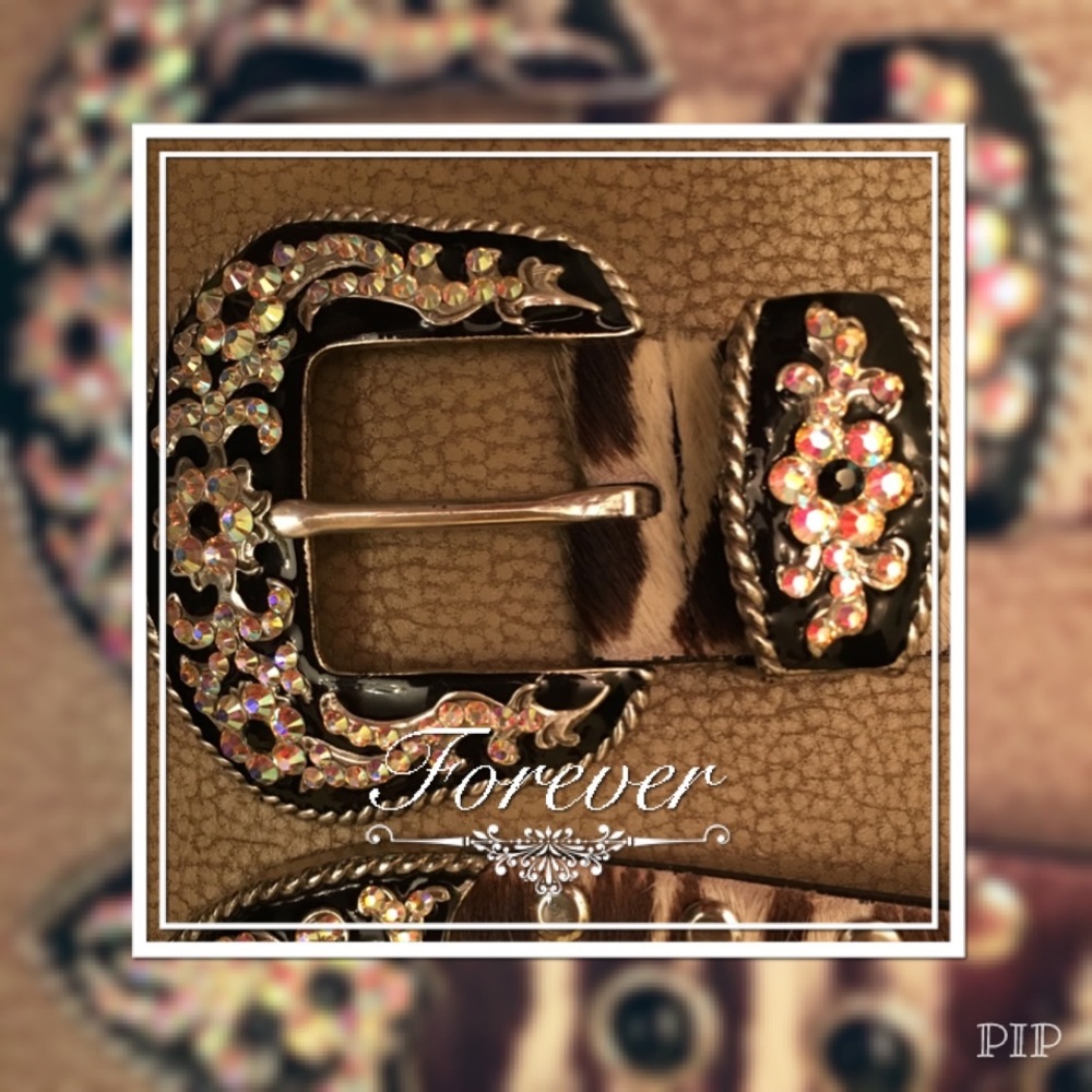 Lyz Charter belt.
