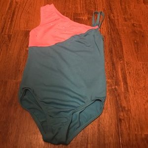 Blue and Pink Girl Leotard