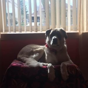 Meet your Posher, Kelly