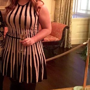 Cream and Black Knit a Line Dress