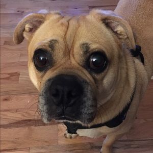 Meet your Posher, Kendra