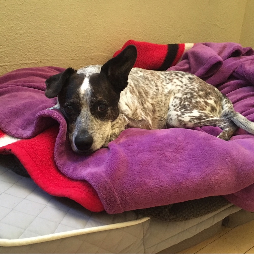 Meet your Posher, Hayley