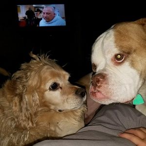 Meet your Posher, Glenn