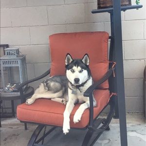 Meet your Posher, Katie