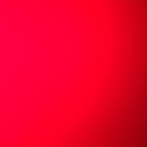 Meet your Posher, Winfred