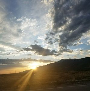 Meet your Posher, Emilia