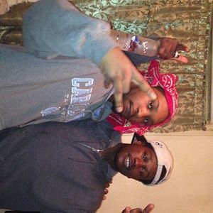 Meet your Posher, Cricket