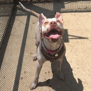 Meet your Posher, Jo