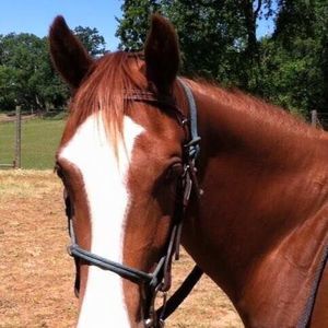 Meet your Posher, Cheri