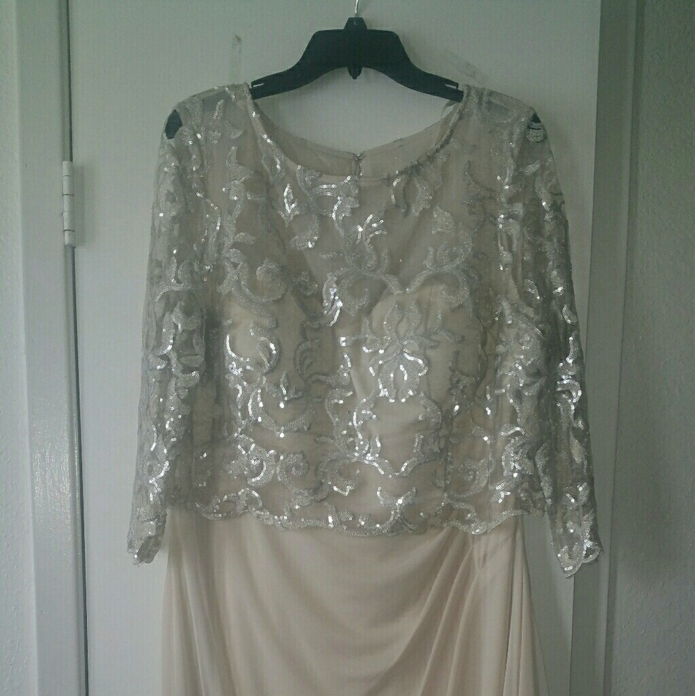 ** Beautiful Lace and Chiffon Dress. Perfect as
