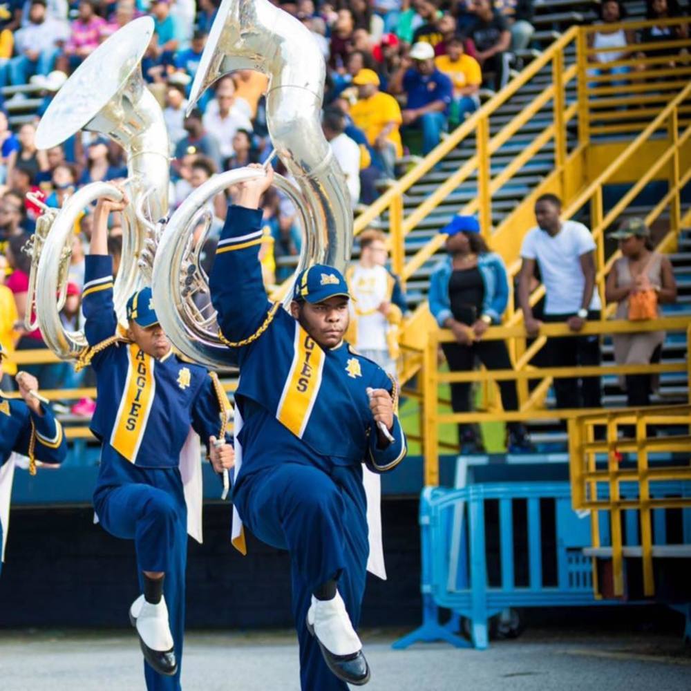 Meet your Posher, Shonda