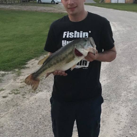 Meet your Posher, Michael - Picture 1 of 1