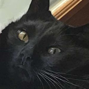 Meet your Posher, Fiona