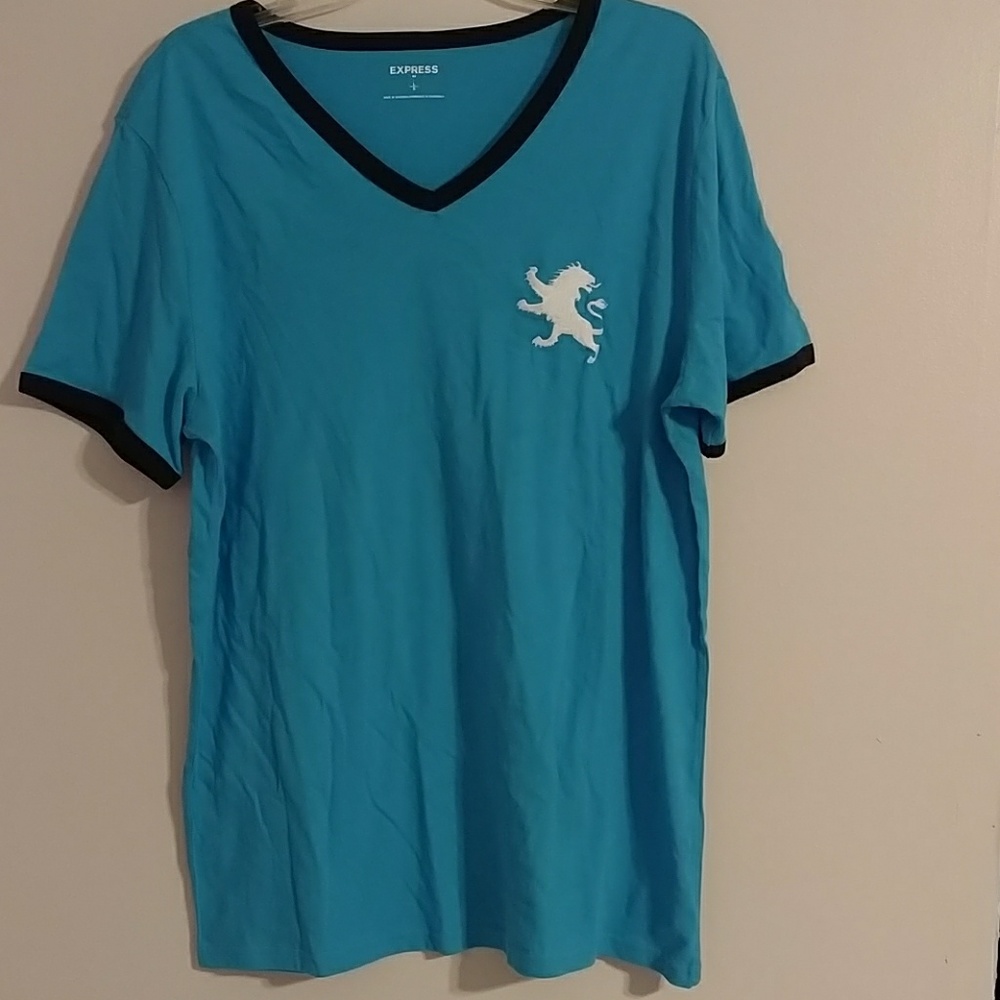 Men's Express V-neck Tshirt