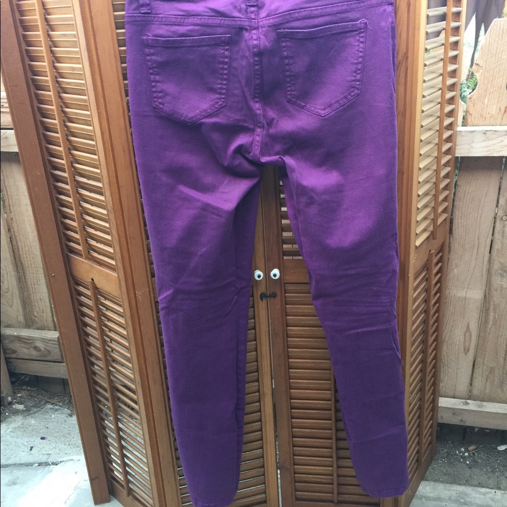 Cello Purple Jeans