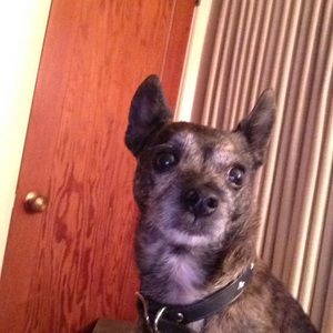 Meet your Posher, Lisa