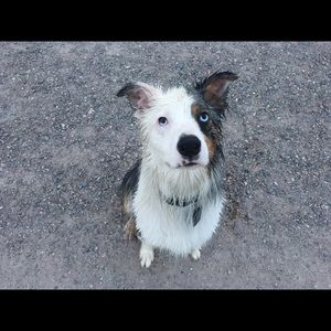 Meet your Posher, Virginia