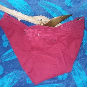 Jordache Women's Red Fitted Low Waist Jeans