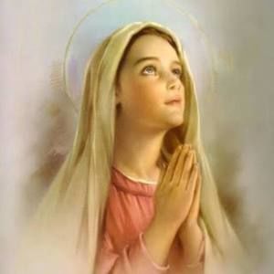 Meet your Posher, Elsie