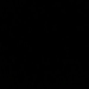 Meet your Posher, Leandro