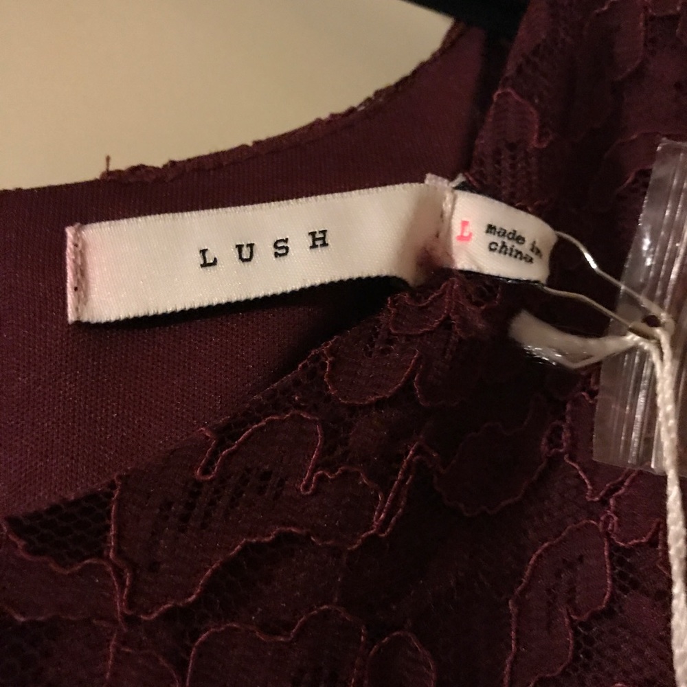 🌹LUSH burgundy lace dress Size Large - Picture 6 of 7