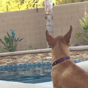 Meet your Posher, Gianna