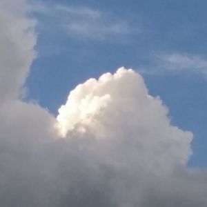 Meet your Posher, Adrien