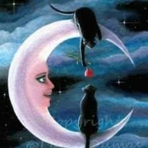 Meet your Posher, Dolores