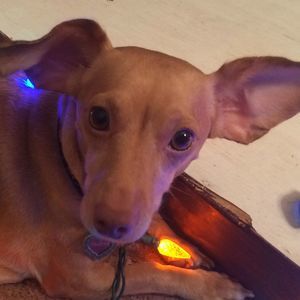 Meet your Posher, Maria